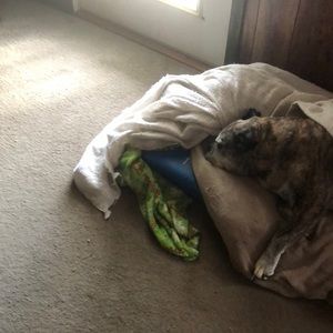 Meet your Posher, Charles